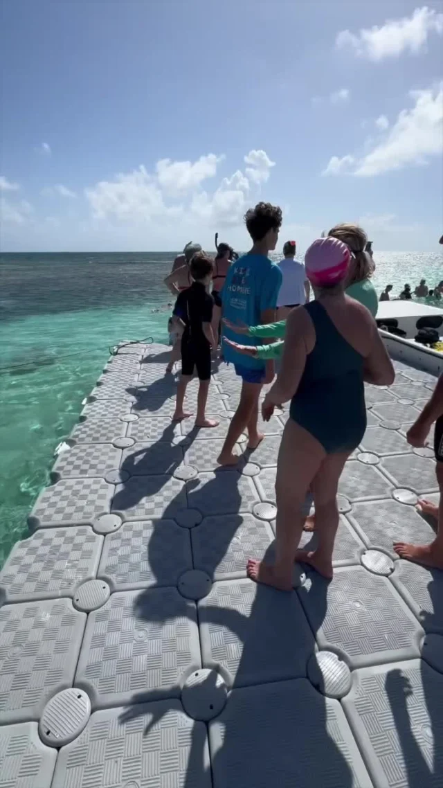Why would you want to take the bait home 🤔
.
.
.
#kitelife #kiteboard #watersport #kiteboarding #kitesurfing #catamaran #wingfoil #grenadines #antiguaandbarbuda #wingsurfing #wingcruise #wingfoiling #wingfoiler #watersports #kitesurf #kiteboardinglessons #luxuryvacations #luxurytravels #kiteboardingphotography #kiteboardingcruise #kitecruise #foilwing #kiteholidays #kiteschool #kitecruise #kitetrip #kitetravel